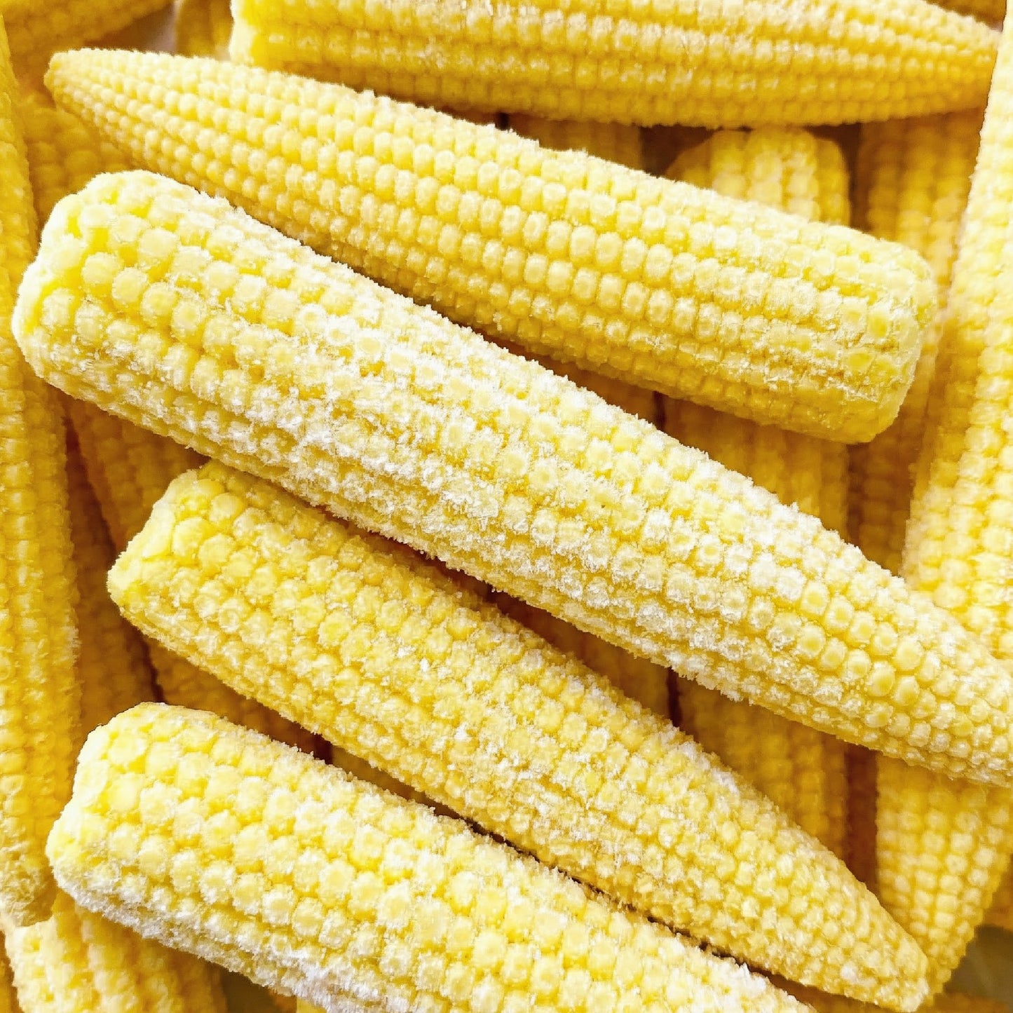 Frozen Baby Corn