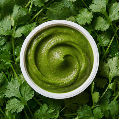 Coriander Puree