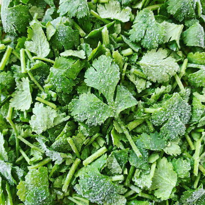 Frozen Coriander